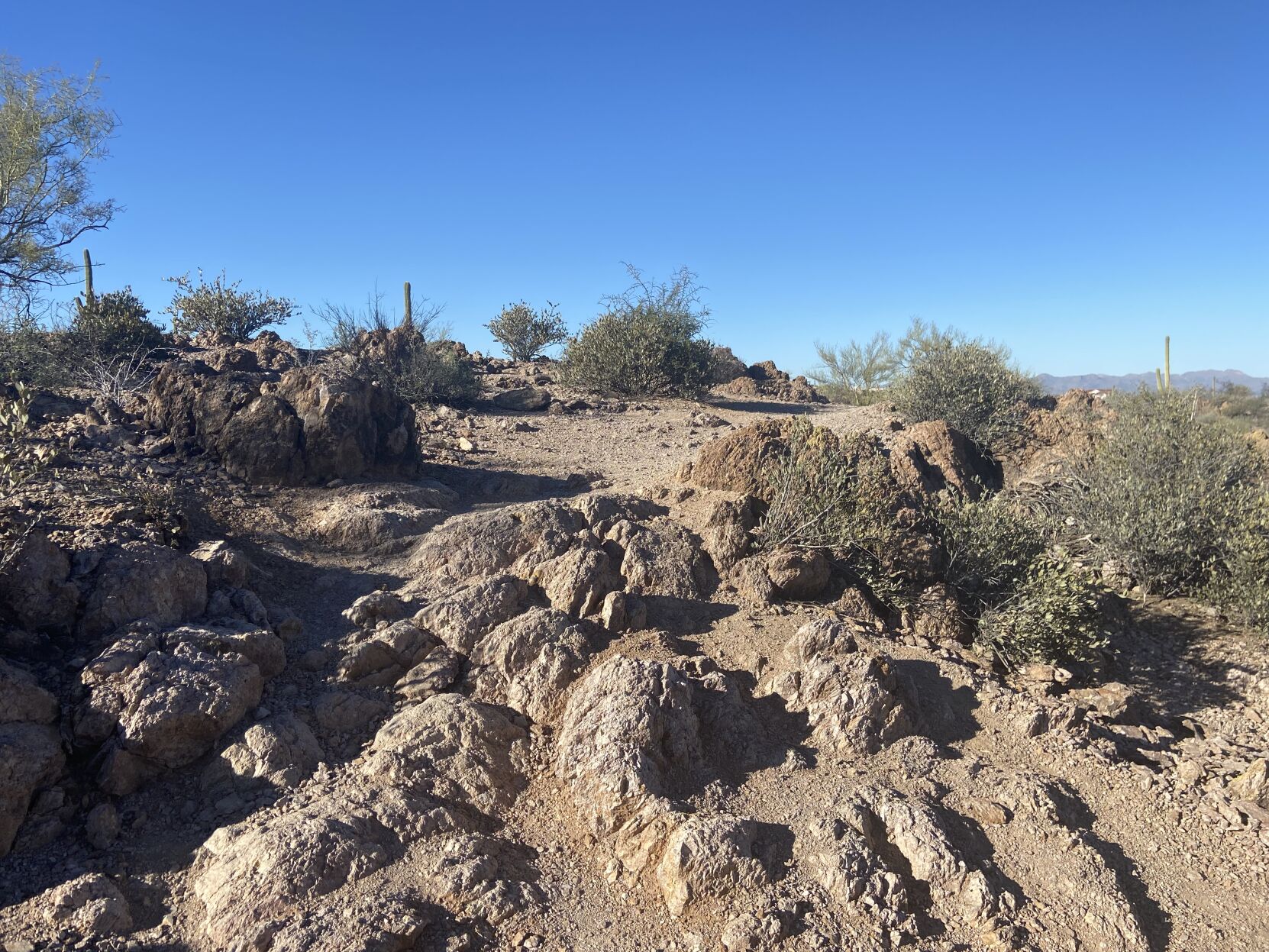 Sweetwater Preserve
